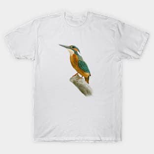 Kingfisher T-Shirt